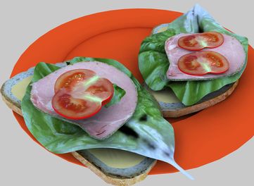 Sandwiches and Salads